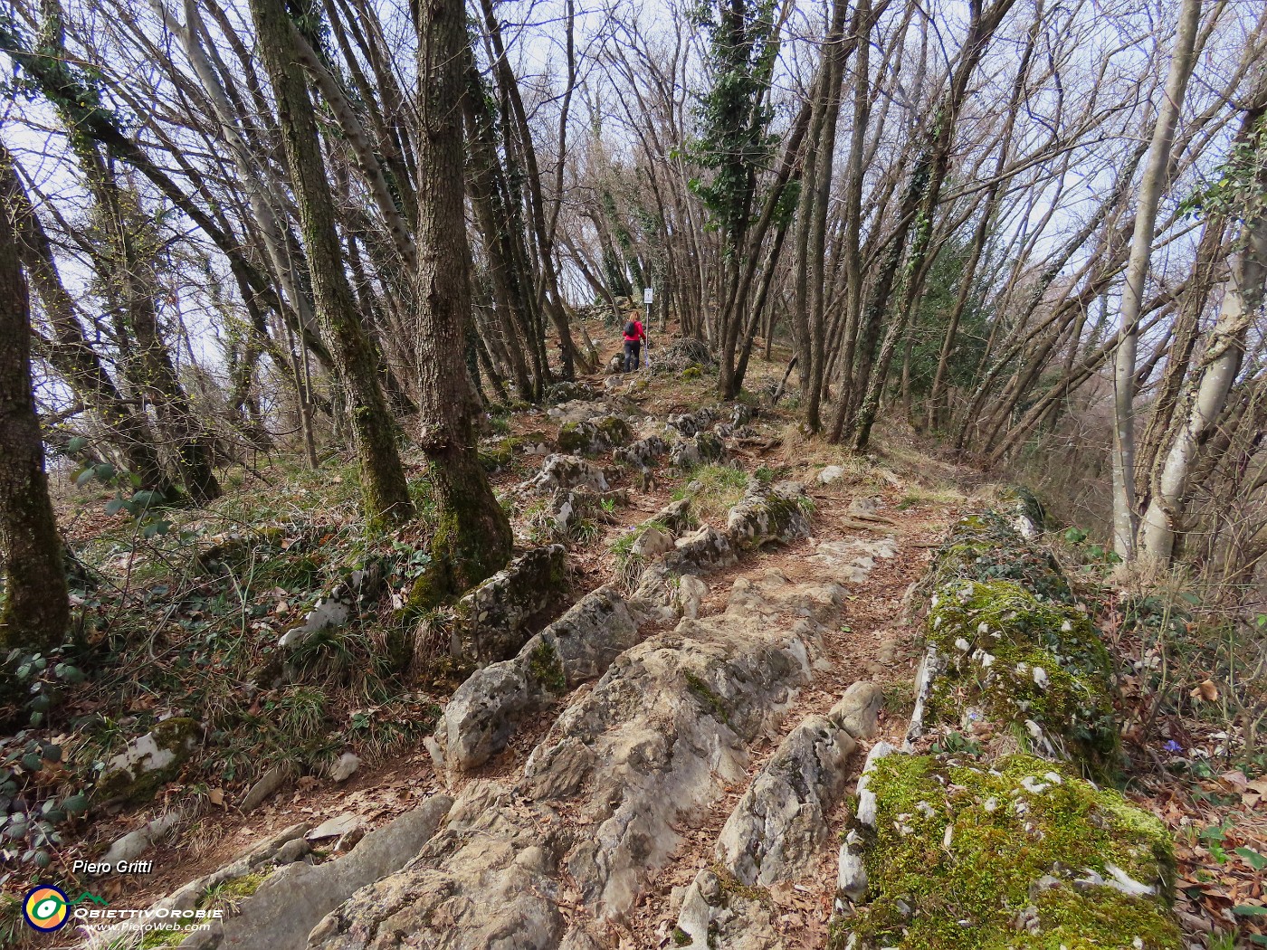 51 Il sentiero corre tra roccette sporgenti dal terrreno.JPG